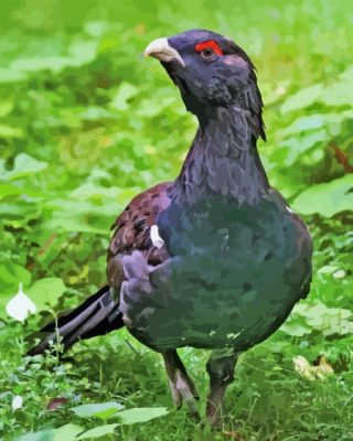 Close Up Western Capercaillie paint by number