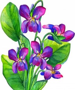 Common Blue Violet Art paint by number