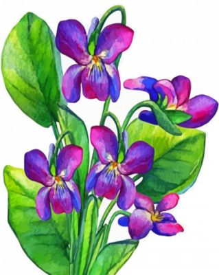 Common Blue Violet Art paint by number