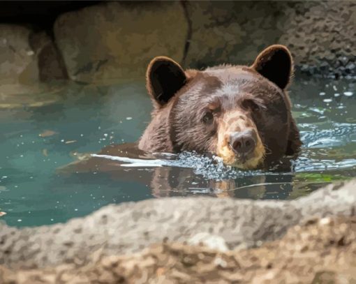 Cute Brown Bear In Water paint by number