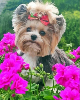 Cute Yorkshire Terrier And Flowers paint by number