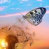 Dandelion Butterflies With Sunset Paint by number