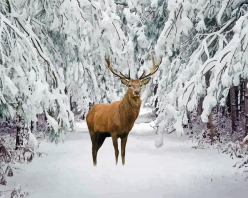 Deer In The Snow Paint by number