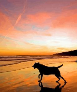 Dog In The Beach At Sunset paint by number