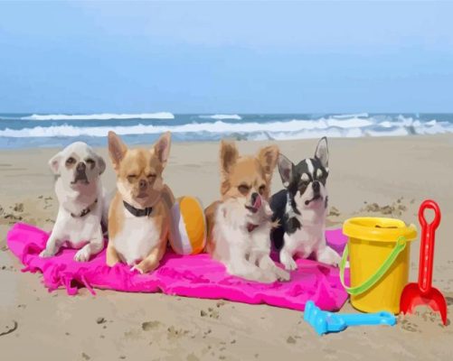 Dogs In Beach paint by number