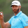 Dustin Johnson paint by number