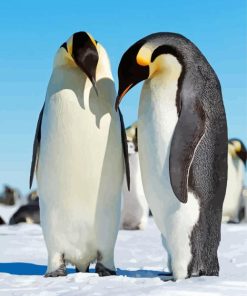 Emperor Penguins paint by number