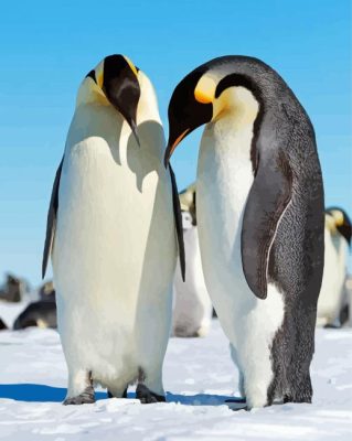 Emperor Penguins paint by number