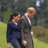 Famous Harry And Meghan paint by number