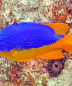 Fiji Blue Devil Damselfish Underwater paint by number