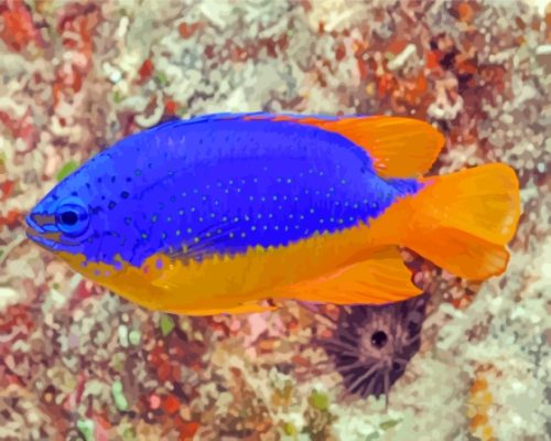 Fiji Blue Devil Damselfish Underwater paint by number