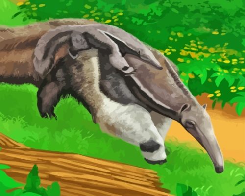 Giant Anteater paint by number