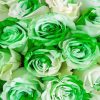 Green And White Flowers Roses paint by number