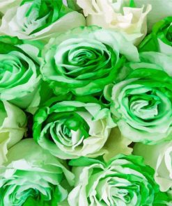 Green And White Flowers Roses paint by number