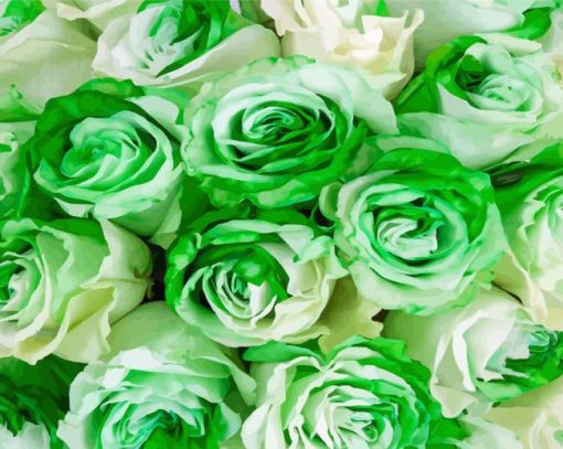 Green And White Flowers Roses paint by number