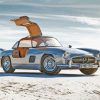 Grey Mercedes Sl 300 In Desert paint by number