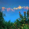 Himalayas At Sunset With Flowers paint by number