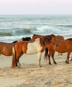 Horses In Assateague Island paint by number