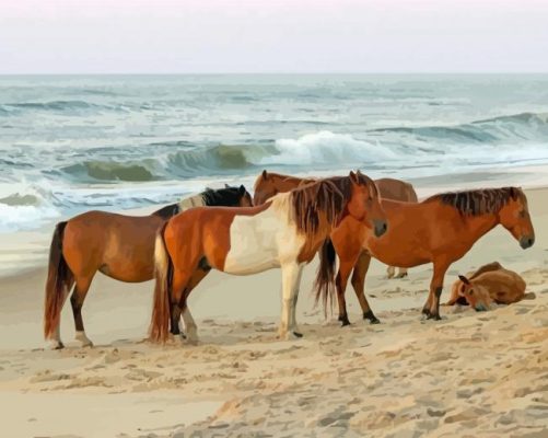 Horses In Assateague Island paint by number