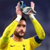 Hugo Lloris Football Player paint by number