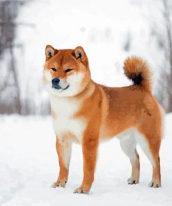 Japanese Dog In Snow Paint by number