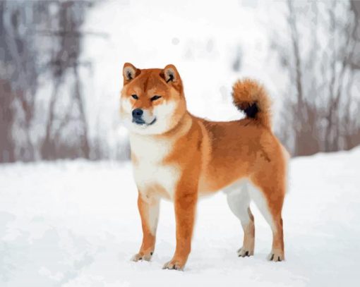 Japanese Dog In Snow Paint by number