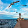 Lighthouse In North Shore Minnesota Paint by number