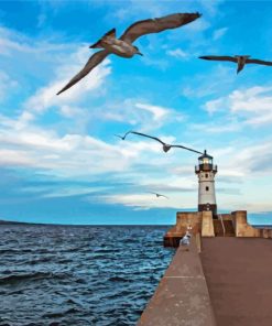 Lighthouse In North Shore Minnesota Paint by number