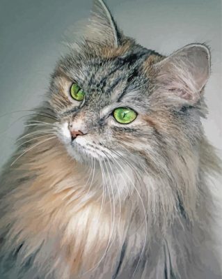 Long Hair Grey Cat Paint by number