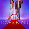 Love Is Blind Season 3 Poster paint by number