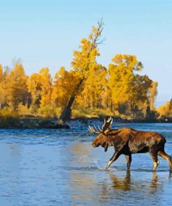 Moose Walking In River paint by number