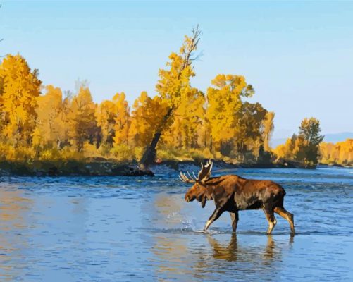 Moose Walking In River paint by number