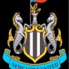 Newcastle United Football Club Logo paint by number