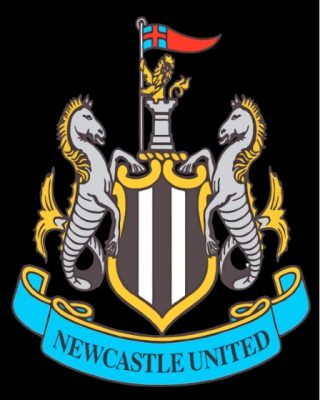 Newcastle United Football Club Logo paint by number