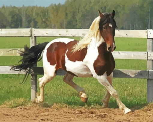 Pinto Horse In Farm Paint by number