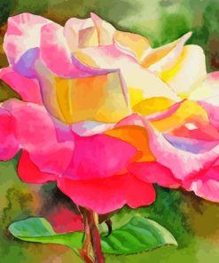 Princess Diana Roses paint by number