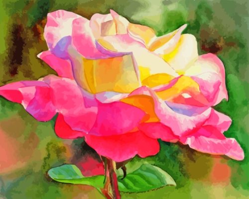 Princess Diana Roses paint by number