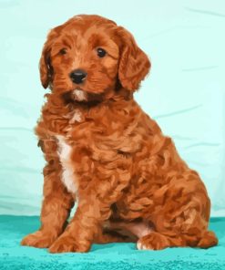 Red Golden Doodle Puppy Paint by number