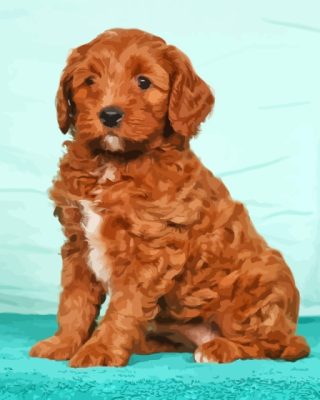 Red Golden Doodle Puppy Paint by number