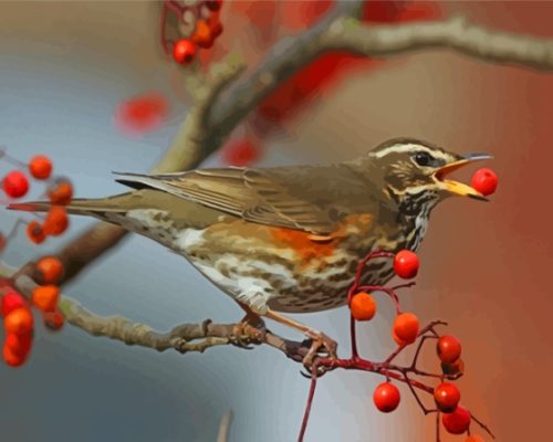 Redwing Bird paint by number