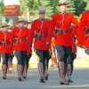 Royal Canadian Mounted Police Show Paint by number