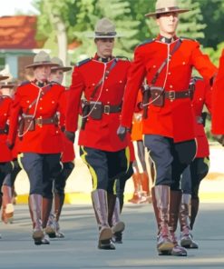 Royal Canadian Mounted Police Show Paint by number