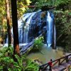 Russian Gulch State Park Waterfall Paint by number