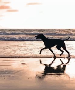 Silhouette Dog In The Beach Paint by number