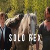 Solo Rex Movie paint by number