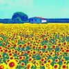 Sunflowers Tuscany Farm paint by number