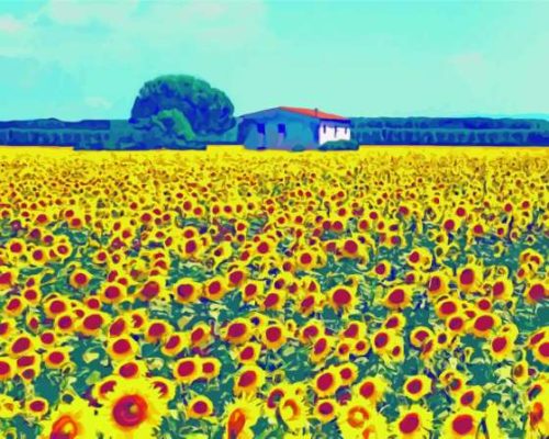 Sunflowers Tuscany Farm paint by number