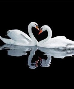 Swan Couple Water Reflection paint by number