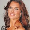 The Beautiful Brooke Shields paint by number