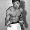 The Boxer Sugar Ray Robinson Paint by number